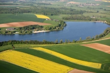 Native de la région Champagne-Ardenne, je propose une expertise immobilière locale et un accompagnement sans faille.
