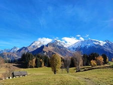 capifrance