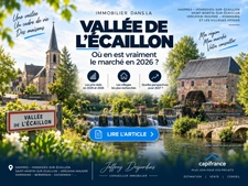 Immobilier Vallée de l’Écaillon : prix et tendances des maisons en 2026