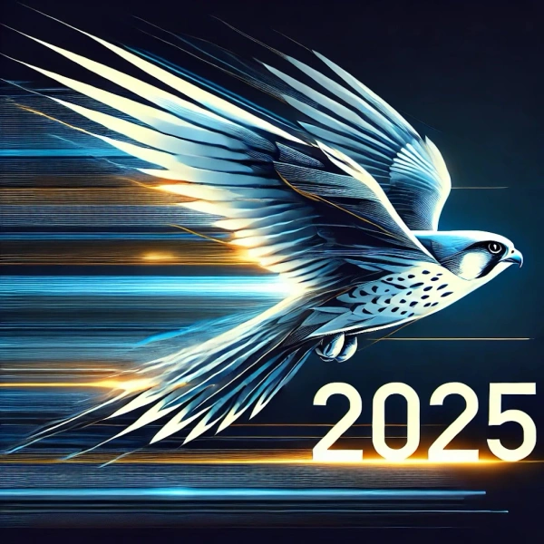 Meilleurs voeux 2025