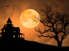 Halloween et Immobilier