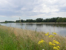 Orléans