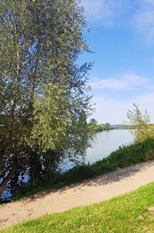 À vos côtés pour réaliser vos projets immobiliers, avec passion et expertise locale.