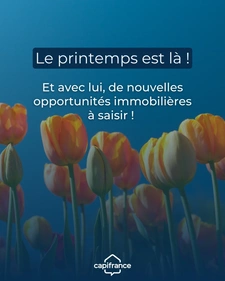 Nadine Reig vous souhaite un joli printemps.