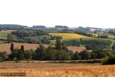 capifrance