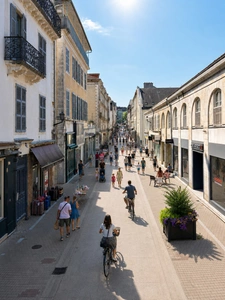 Rue Serviez à Pau : histoire, cadre de vie et immobilier