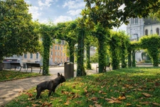 Place de la Libération à Pau : histoire, cadre de vie et immobilier
