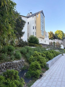 Rue du Hédas à Pau : histoire, cadre de vie et immobilier
