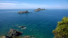 Estimation en Corse