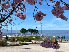 capifrance