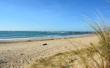 capifrance