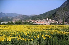 La saulce