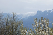 capifrance