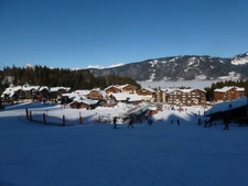 Morillon
