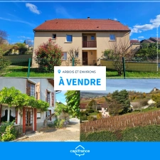 3 coups de coeur en vente en ARBOIS