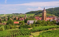 Le marché de l'immobilier en Arbois (Automne 2024)