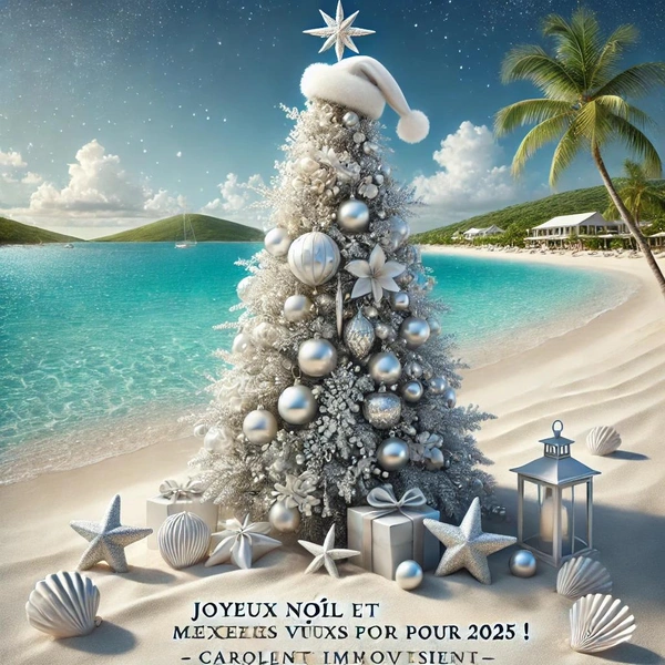 Noël et l'Immobilier en Guadeloupe : Une Saison de Rêves et d'Opportunités