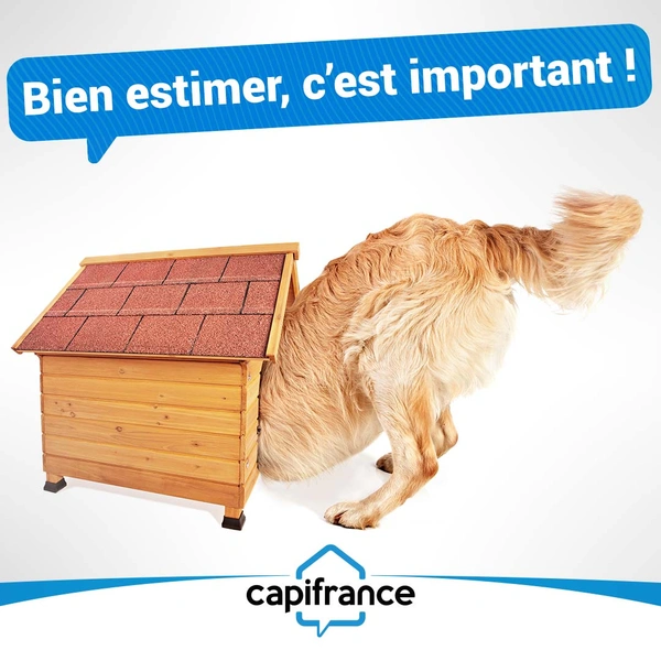 Estimation immo: Comment connaître le vrai prix de votre bien ?