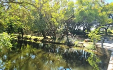 Vendargues