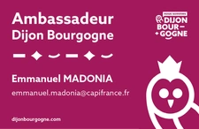 AMBASSADEUR DIJON BOURGOGNE