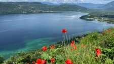 capifrance