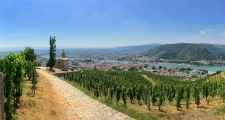 capifrance
