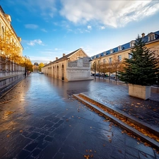 Saint-Germain-en-Laye : quand la nature redessine l’urbanisme (et l’immobilier)