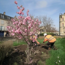 Le Budget Participatif : Construis la ville de demain avec tes idées !