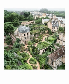 La guerre contre le béton : vers un ouest parisien plus vert ?