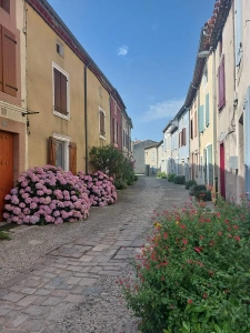 Natif de la région, je propose une expertise immobilière locale et un accompagnement sans faille.