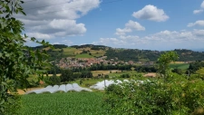 capifrance