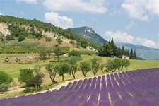 Drômois de naissance et Saint Marcellois depuis plus de 30 ans, je propose une expertise immobilière locale et un accompagnement sans faille.