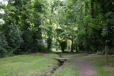 Cavan