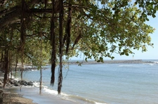 Native de l'île de la Réunion, je propose une expertise immobilière locale et un accompagnement sans faille.