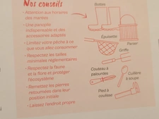 la pêche à pied