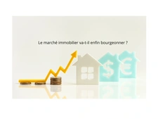 1er trimestre 2025 : le marché immobilier va-t-il enfin bourgeonner ?