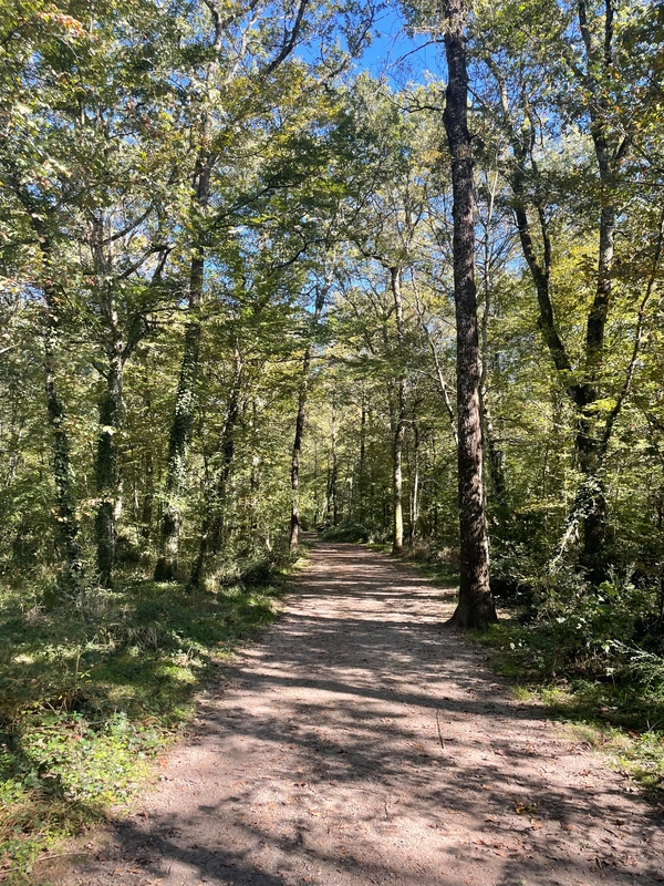 Lévignac