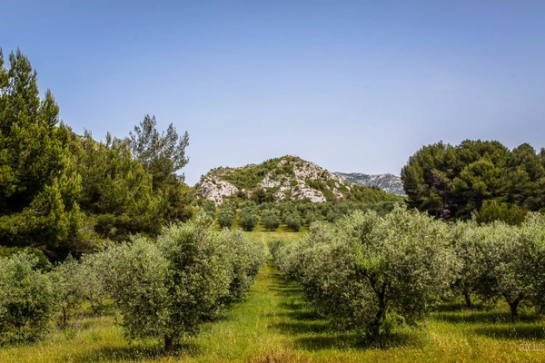 Saint-Rémy-de-Provence