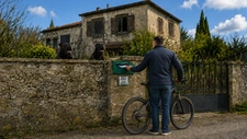 le jour où deux chiens m’ont montré le chemin
