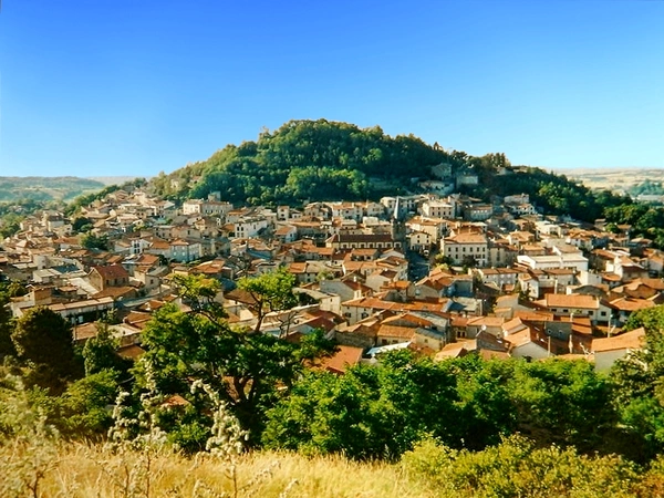 Vertaizon