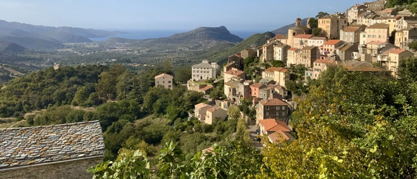 Oletta