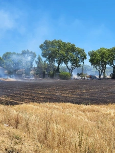 🔥 Départ de feu à La Fare-les-Oliviers : restons vigilants
