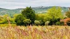 L’automne à La Fare-les-Oliviers : le village autrement