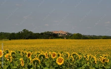 Monflanquin