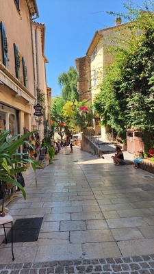 Bormes-les-Mimosas (83230) : : Immobilier et Art de vivre