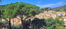 Bormes-les-Mimosas (83230) : : Immobilier et Art de vivre