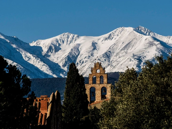 Un écrin de biodiversité dans le Conflent