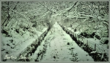 Digne-les-Bains