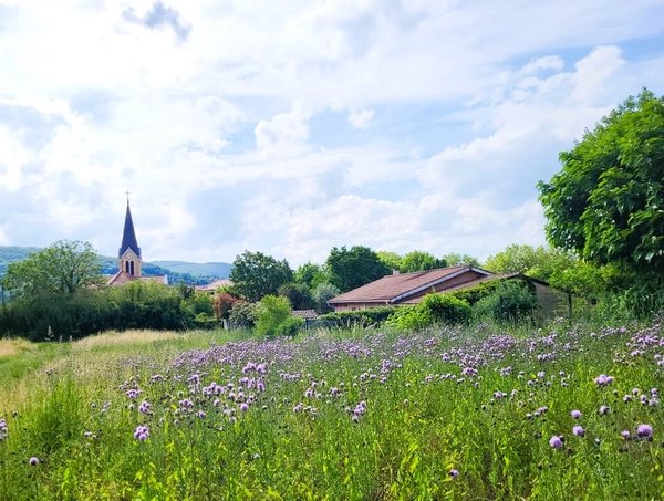 Fleurieu-sur-Saône