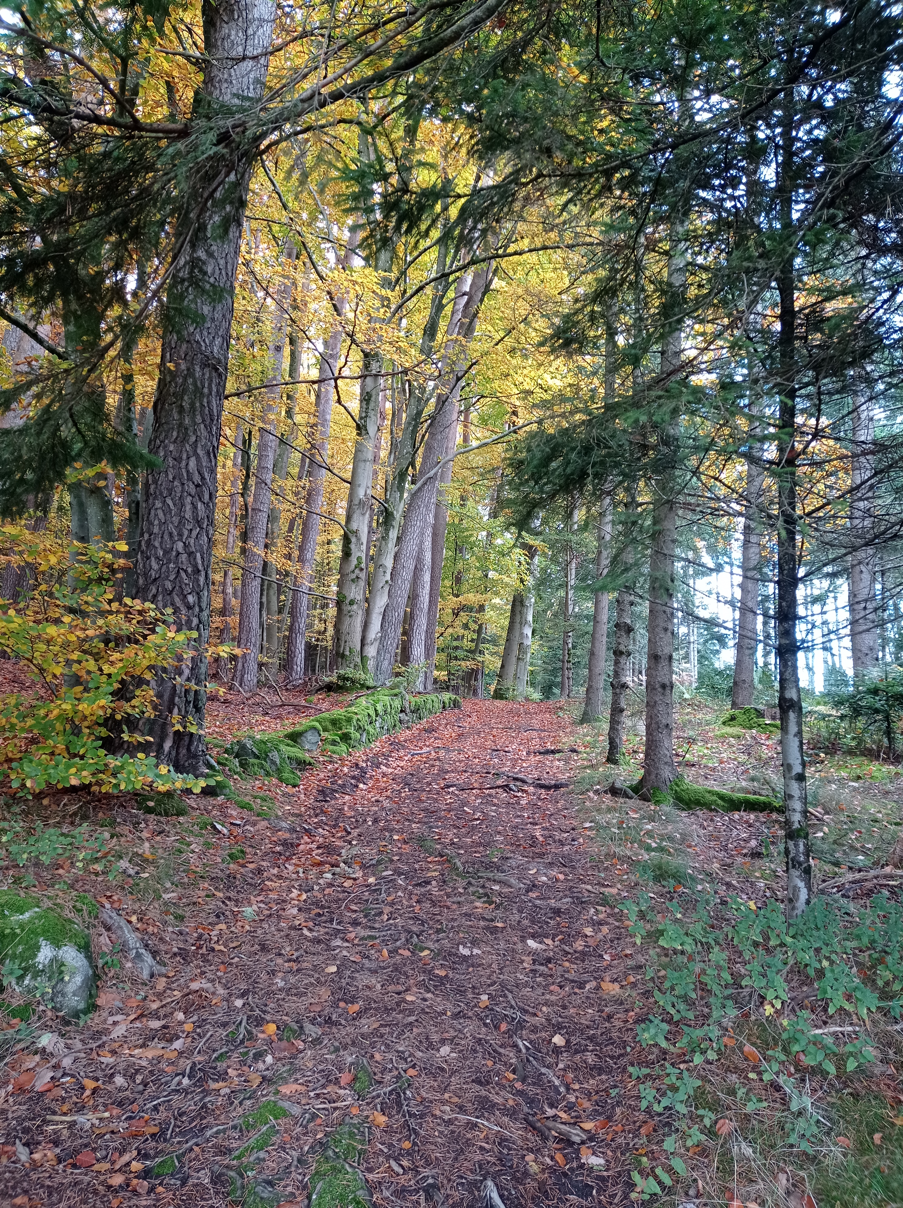 Changement d’heure et couleurs d’automne : valorisez votre bien immobilier